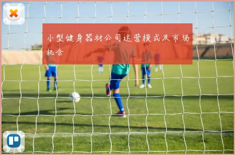 小型健身器材公司运营模式及市场机会